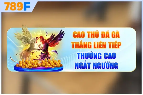 Khuyến Mãi Đá Gà
